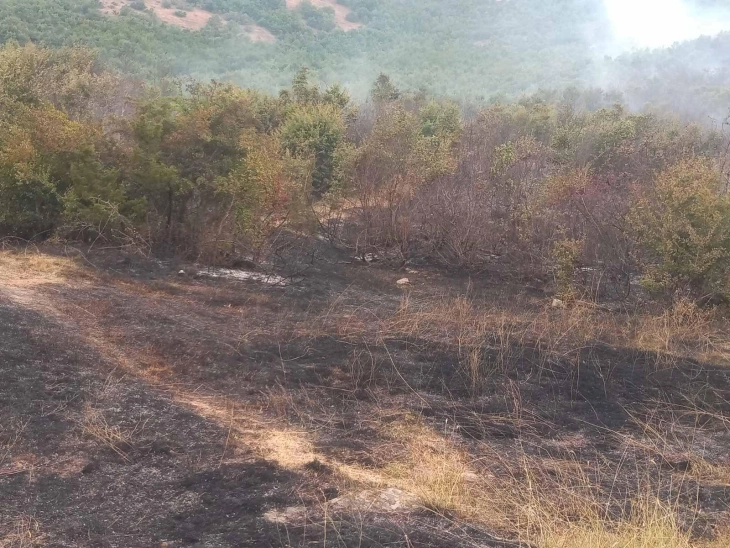 ЦУК: Кракот на пожарот кој се движеше кон село Кошино е ставен под контрола со Ер Тракторите на ДЗС