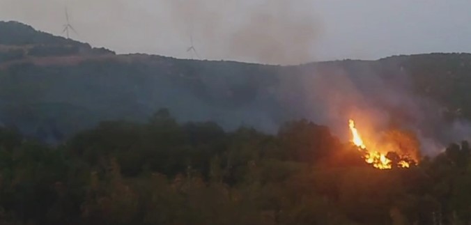 Досега изгореа 500 хектари: Утре ќе продолжи да се гасне пожарот во Богданци
