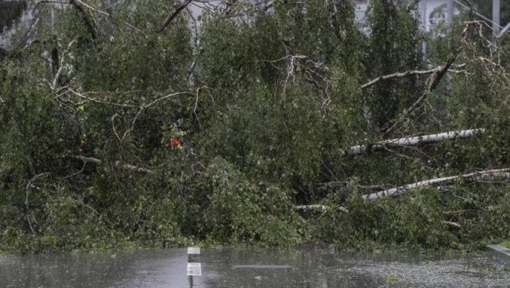Невреме со урагански ветрови ја зафати Словенија, торнадо во Илирска Бистрица