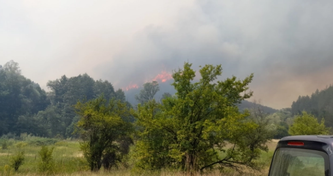 Избувна пожар близу Дојран, постои опасност да се прошири кон ветерниот парк Богданци