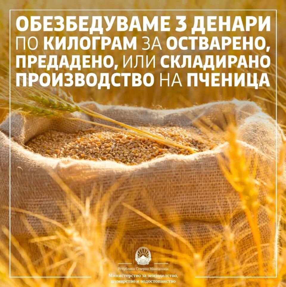 МЗШВ: Обезбедуваме 3 денари по килограм за остварено, предадено, или складирано производство на пченица