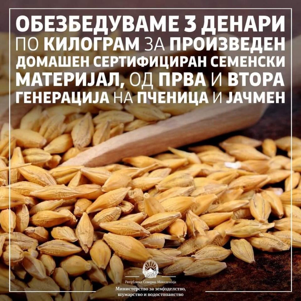 МЗШВ: Интервентна мерка од 3 денари по килограм за произведен домашен сертифициран семенски материјал, од прва и втора генерација на пченица и јачмен Y