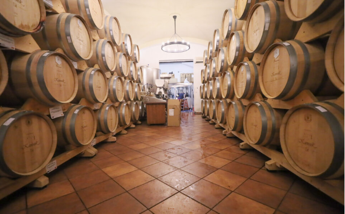 Македонија е 13 земја во светот по девизен прилив од извоз на вино