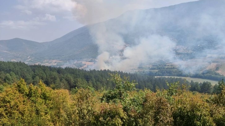 Втор ден пожарот на боровата шума во Тетовско покрај пожарникарите се гасне и со воздухопловна поддршка