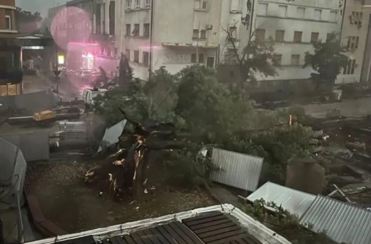 Стравично невреме на Фрушка Гора во Војводина: Се урнале три столба на далноводот, 11 илјади луѓе се без струја