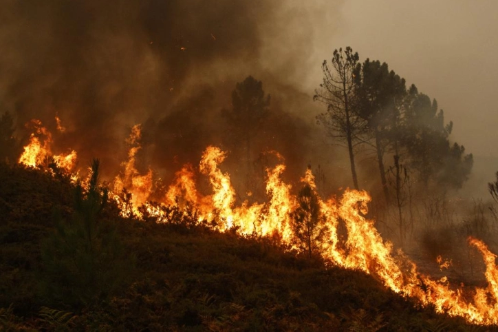 Голем шумски пожар северно од Лос Анџелес, издадена наредба за евакуација
