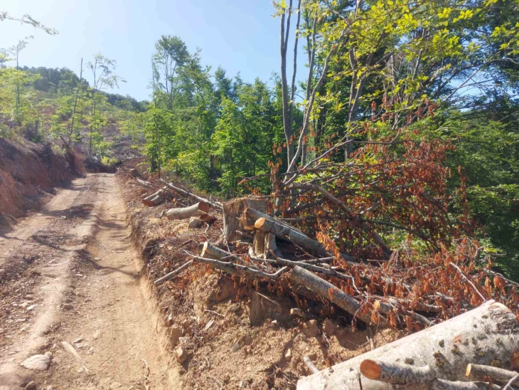 Лица од Велешта и Албанија краделе дрва од Јабланица, направиле штета од околу четири милиони денари