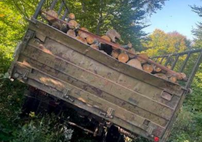 Скопска Црна Гора „врие“ од дрвокрадци: Запленети три камиони со 35 кубика дрва