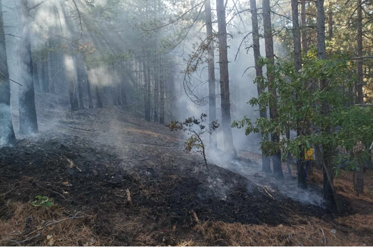 Локализиран е пожарот што го зафати атарот на делчевското село Бигла