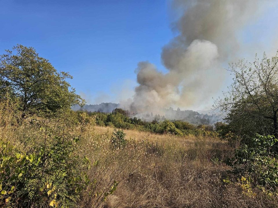 Пожарникари од Радовиш цела ноќ гаснеле опожарена дабова шума, пожарот сè уште активен