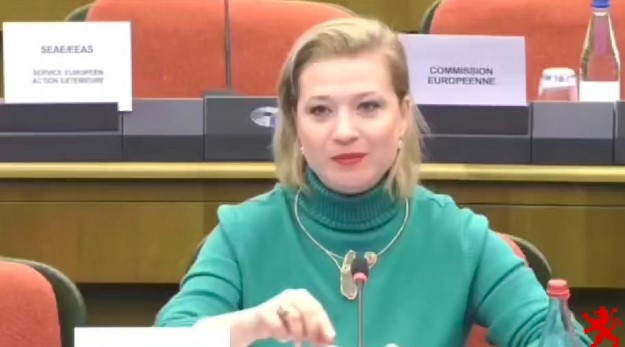 Василевска од Стразбур: Според ЗНМ, Владата покажала недостиг на капацитет ефективно да го санкционира прекршувањето на правата на новинарите и да ја заштити нивната безбедност