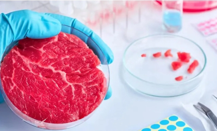 Италија забрани производство и продажба на „култивирано месо“