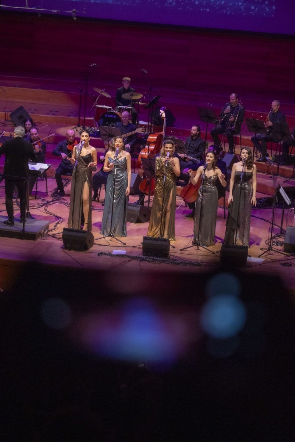 Широки насмевки и стоечки овации за предновогодишниот музички спектакл „Jingle Bells Symphony“