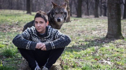 Во војната во Босна му се губи трагата на детето што го израснале волци