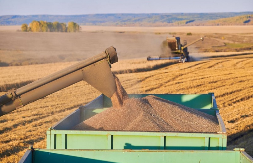 Русија се врати меѓу првите пет најголеми добавувачи на жито во ЕУ