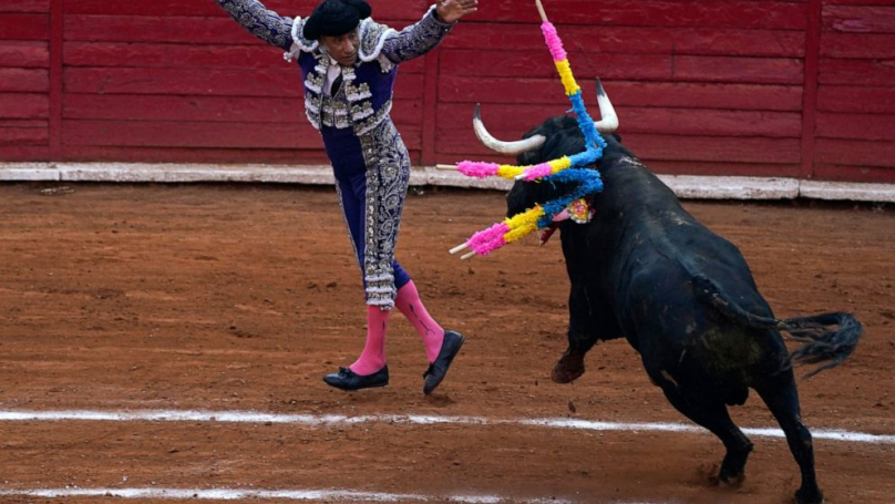 Мексиканскиот суд ја укина забраната, борбите со бикови се враќаат во арените
