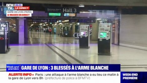 Три лица избодени со нож на железничка станица во Париз