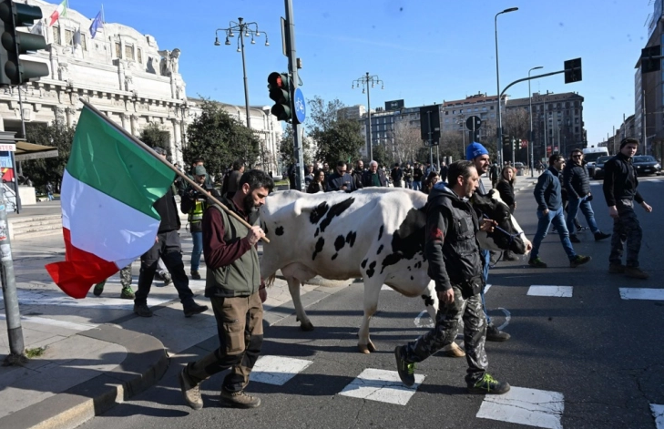 Возеа трактори и водеа крави низ град: Италијанските земјоделци демонстрираат против бирократијата и евтиниот увоз