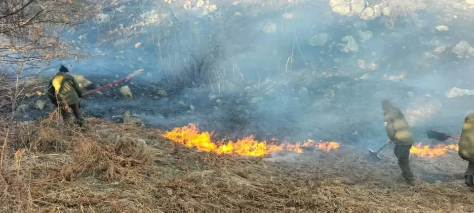 Пожарот на Шар Планина се самоизгаснал, огнот на врвот на Жеден се уште е активен