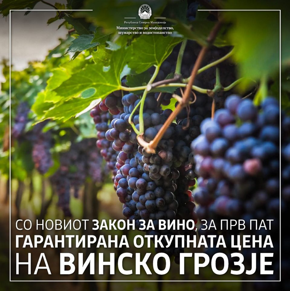 Собранието го донесе новиот закон за вино – Лозарите добиваат гарантирана откупна цена на винското грозје