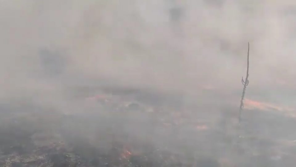 Пожар кај туристичката населба „Абланица“ близу Беровско Езеро