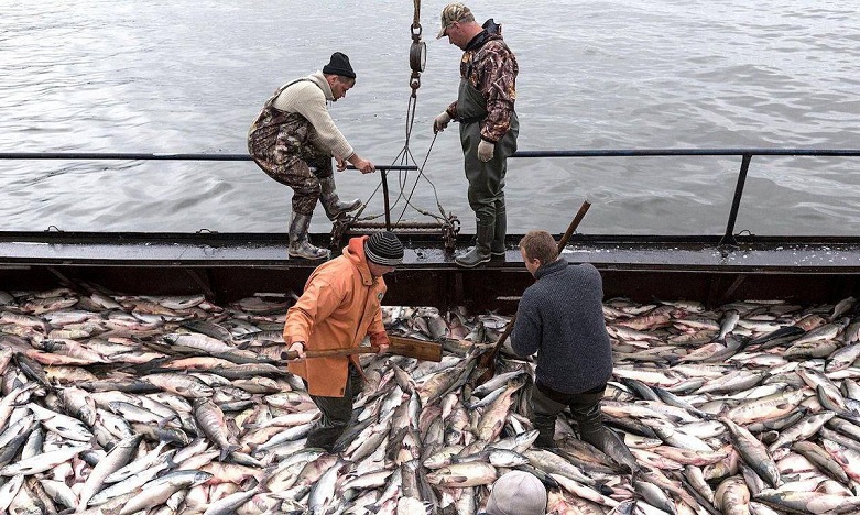 Русија и забрани на Велика Британија да лови риба во Баренцовото Море