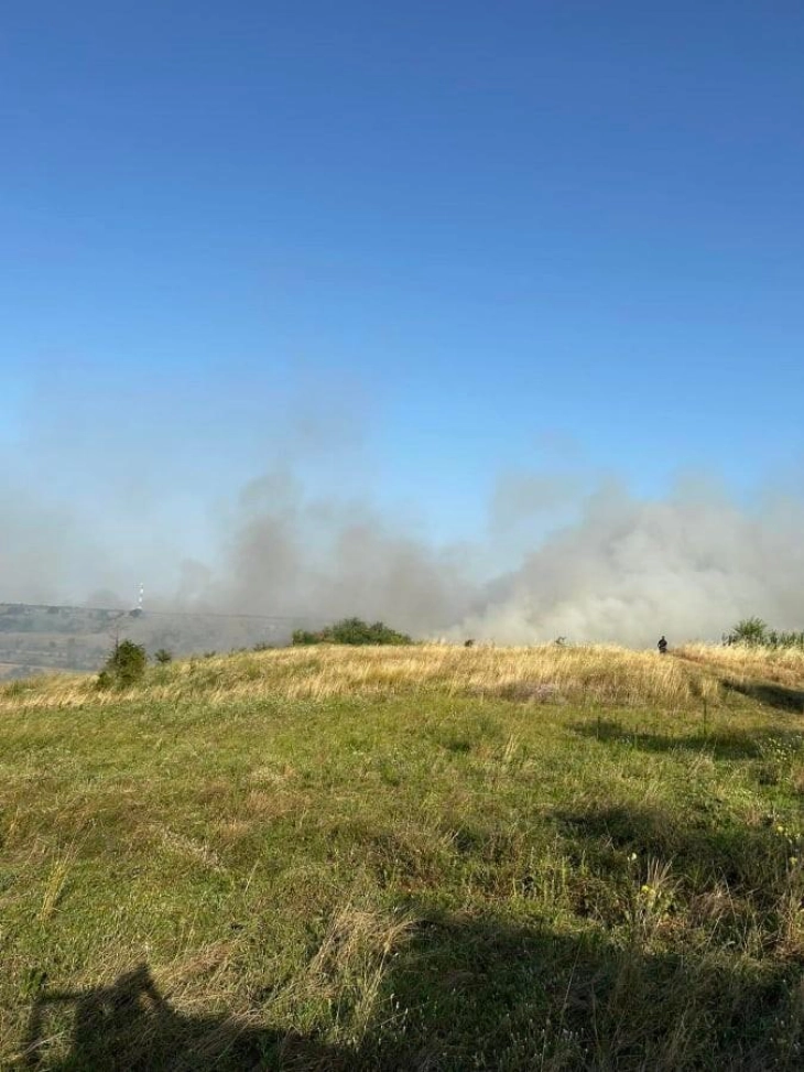 ЦУК: Активен е пожарот во липковското село Виштица