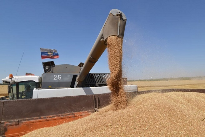 Мали ќе добие уште 50.000 тони пченица од Русија