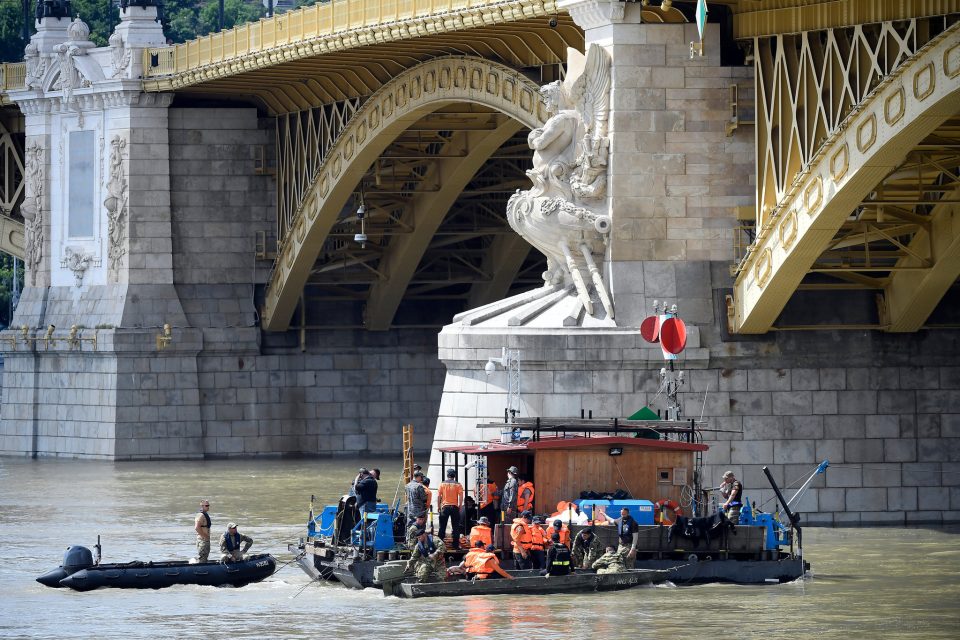 Две лица го загубија животот, а пет се водат за исчезнати во судар на крузер и чамец на Дунав кај Будимпешта