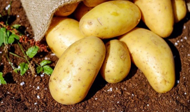 Што би се случило со вашето тело доколку јадете компири секој ден?
