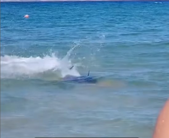 Перка ги уплаши капачите на грчкиот остров, но не е ни ајкула, ни делфин