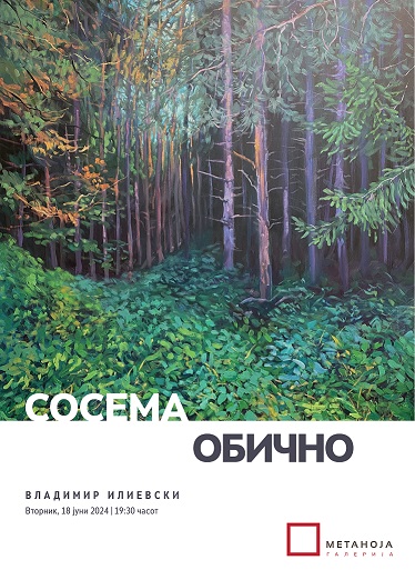 Отворање на изложбата „Сосема обично“ на Владимир Илиевски во „Галерија Метаноја“