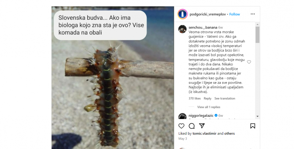Паника меѓу туристите: Месојадни црви забележани на плажите во Будва и во Италија
