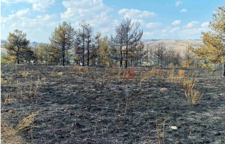 Тринаесет пожари на отворено за 24 часа, активен еден во општина Кичево