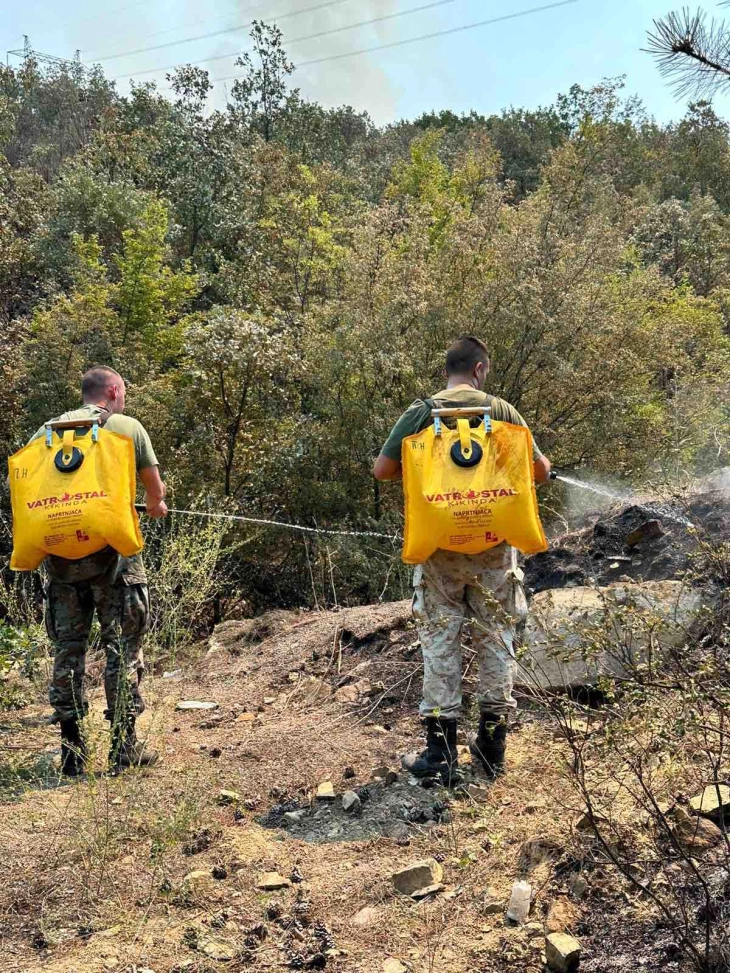 Армијата продолжува заеднички со сите институции и граѓани да придонесува во справување со пожарите