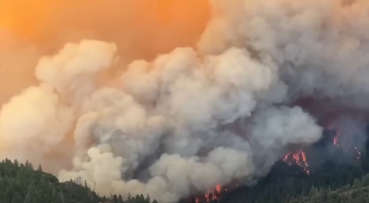 Беснее шумскиот пожар во Калифорнија, досега изгорени над 141.000 хектари шума