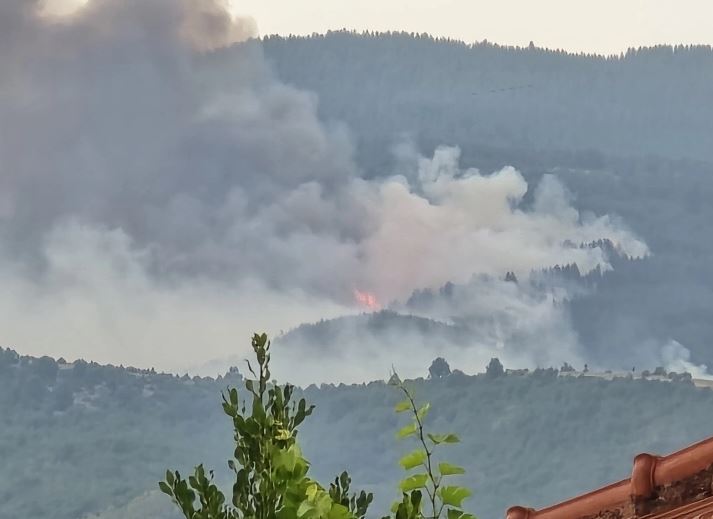 Дождот не го изгасна пожарот на планината Огражден, гори на неколку места