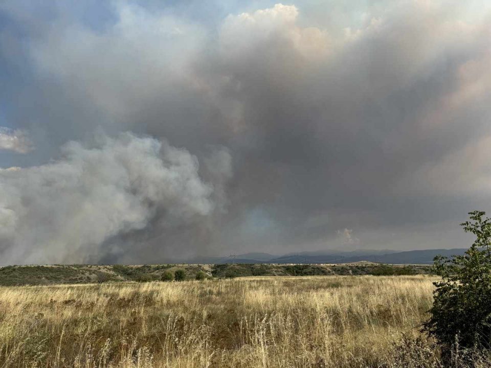 Кавадаречки пожарникари ангажирани да помогнат во гаснење на пожарот во Неготинско