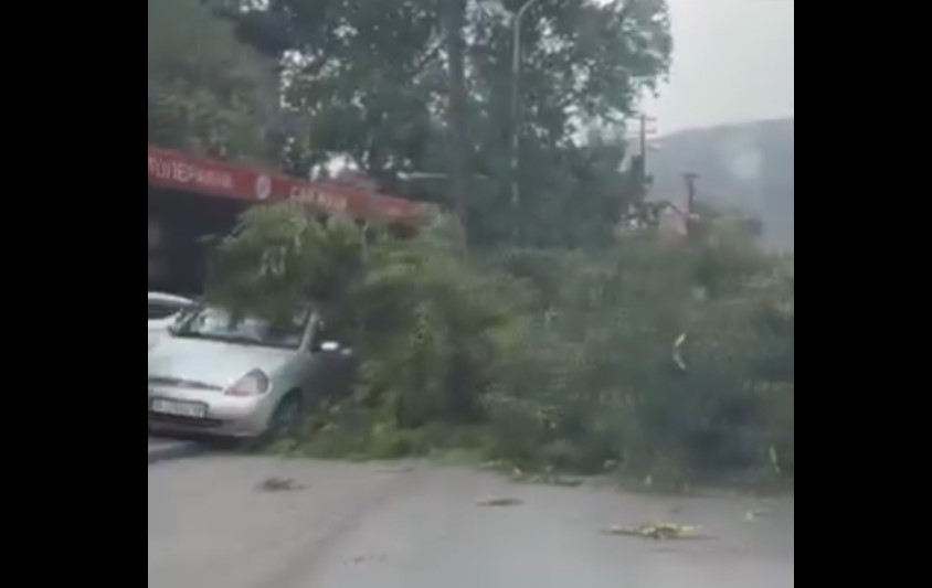 ЦУК информира за штетите предизвикани од невремето кое го зафати попладнево Скопје – паднати дрвја, оштетени возила и кровови, откачени кабли од бандери