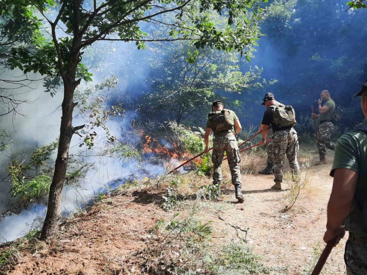 Дополнителни 200 војници ќе се ангажираат за гаснење на пожарите, одлучи Силјановска Давкова