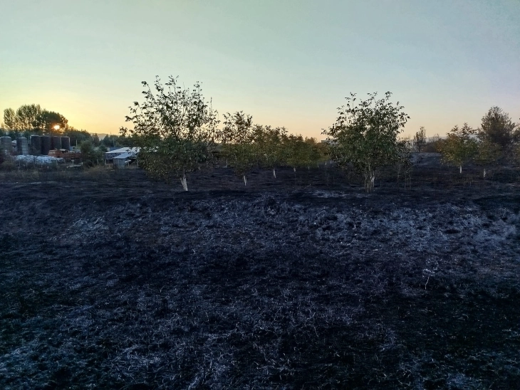 Попладнево избувнал голем пожар во близина на индустриската зона во Василево, спасени се индустриски објекти