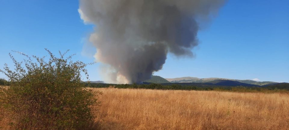 Голем пожар над Пехчево