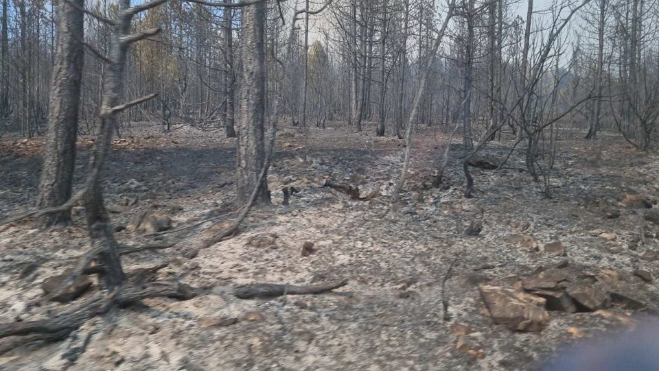 Дождот ги изгасна сите тешки пожари во земјава