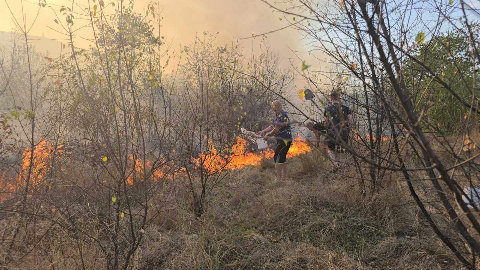 Пожарникарите се борат да го стават под контрола пожарот во Расадник