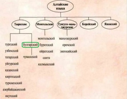 Бугарскиот јазик во групата на турскиот, туркменистанскиот и азербејџанскиот?