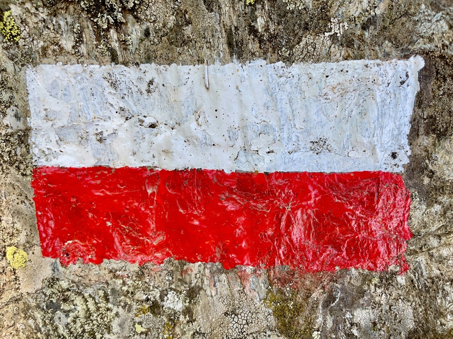 massimo-virgilio-on-unsplash
