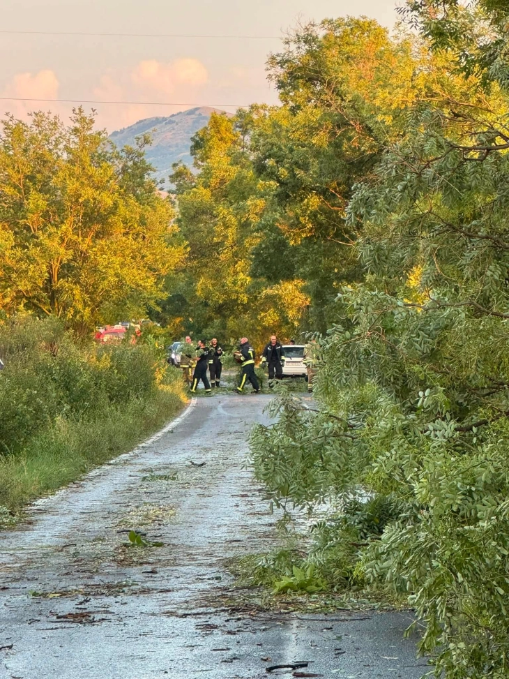 Пожари и штети од невремето има и во Свети Николе и Пробиштип
