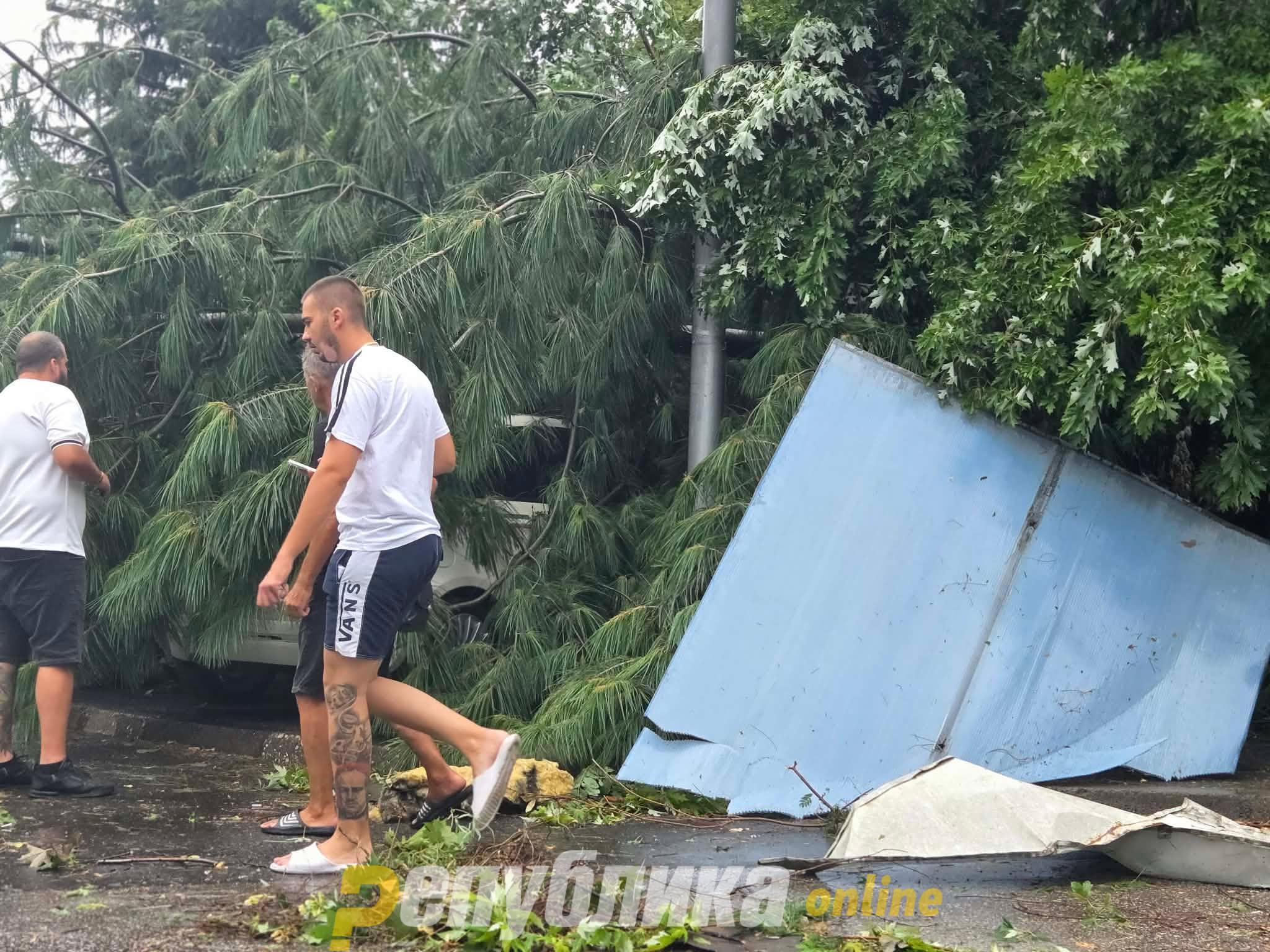 Природата врши сурова проверка дали се почитувани законите при изградба, порача Стојанлче Ангелов