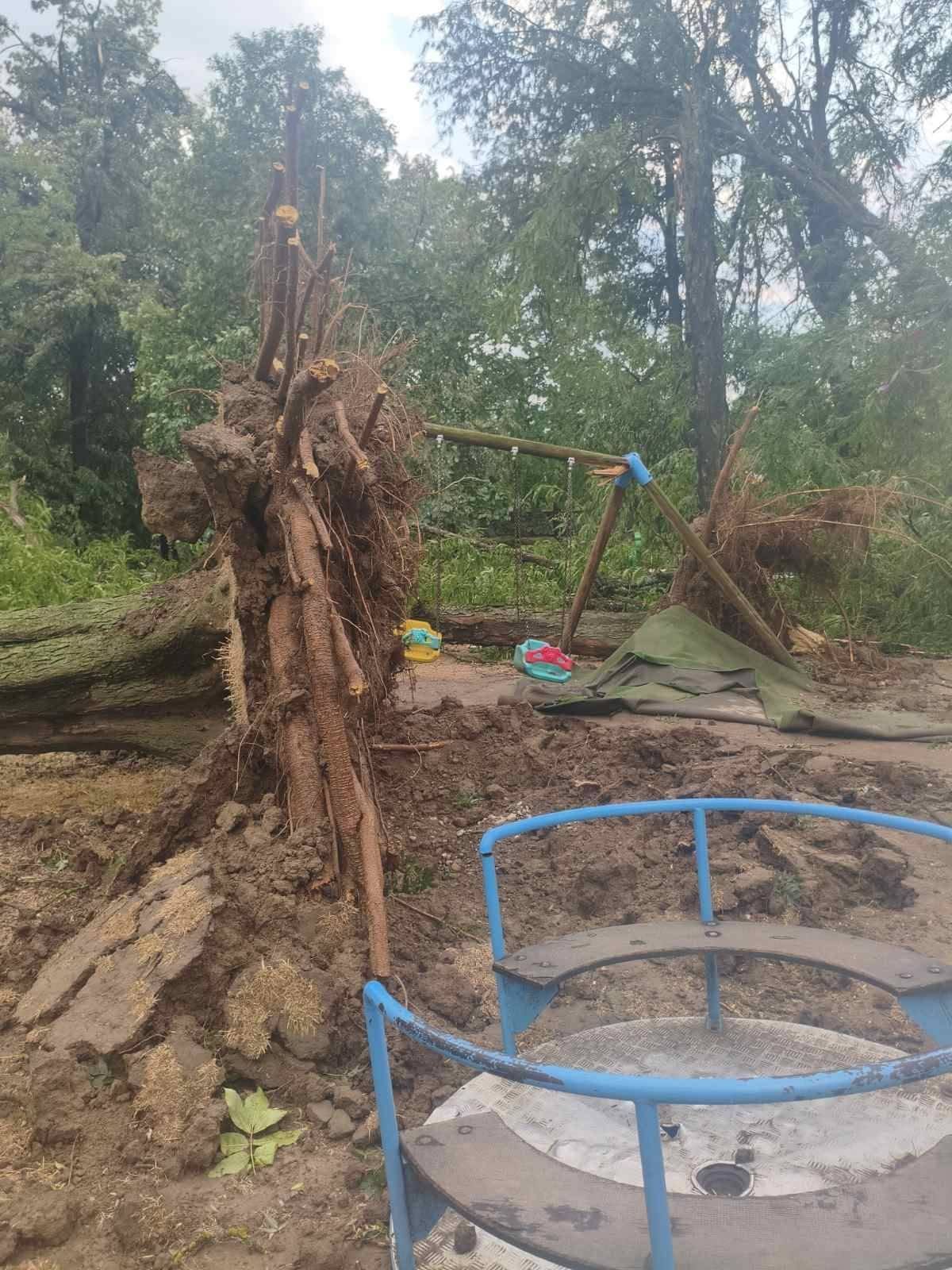 Катаклизма во Градски парк