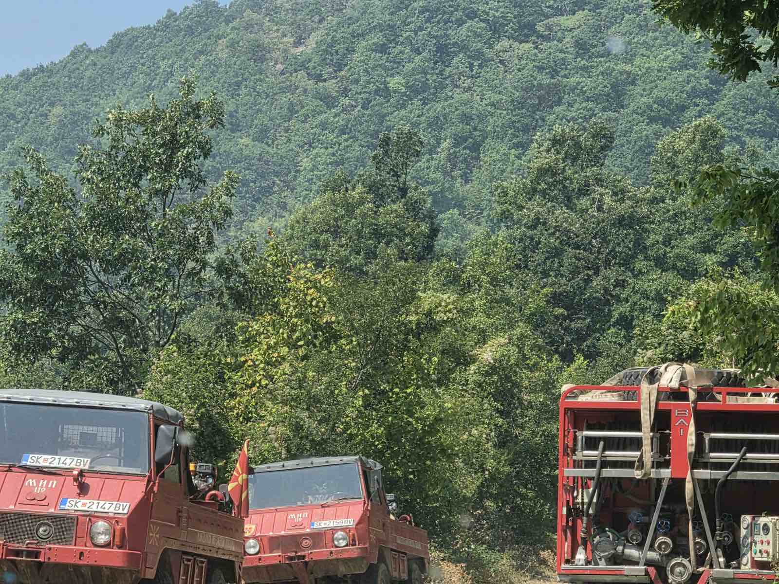 Сите државни ресурси ангажирани на терен за заштитата на планината Китка